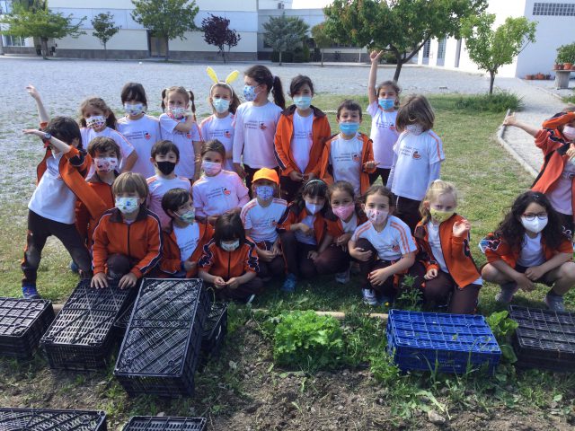 School Garden