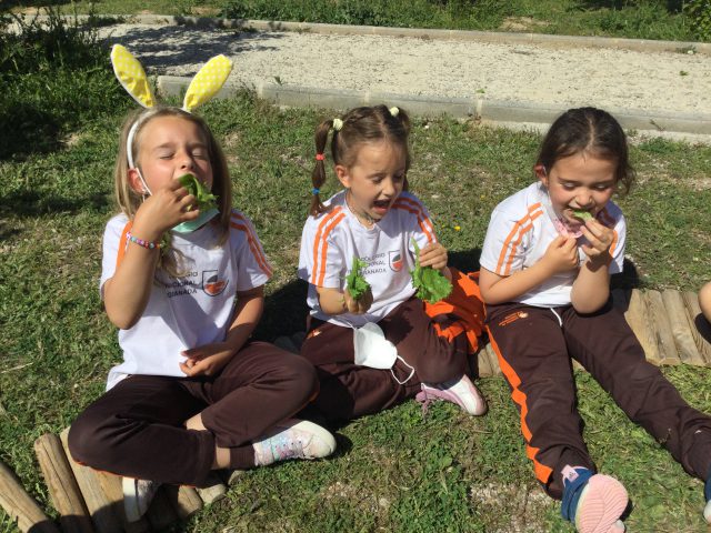 Hábitos alimenticios en la adolescencia para un crecimiento sano