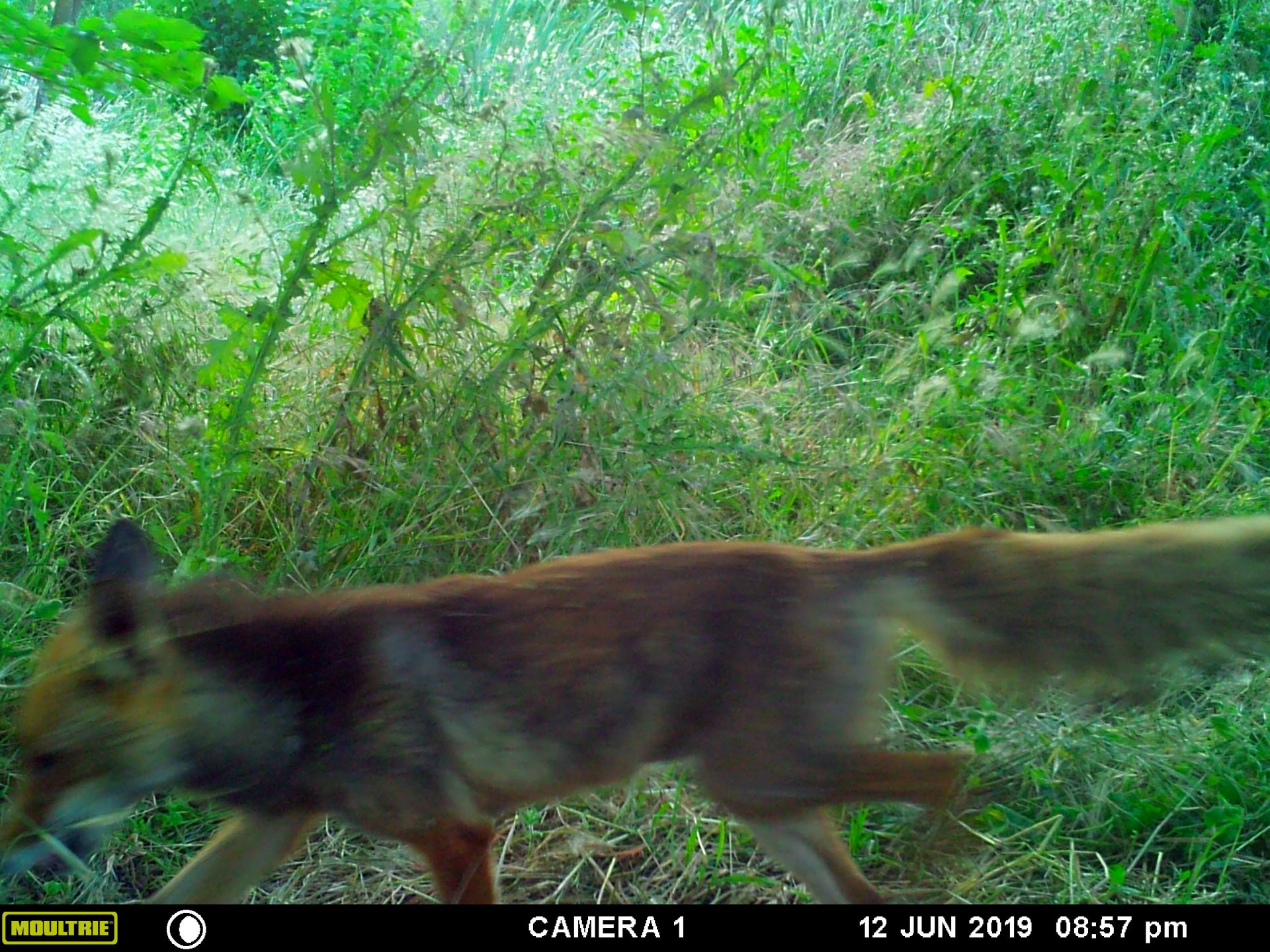 Los «vecinos» del CIG