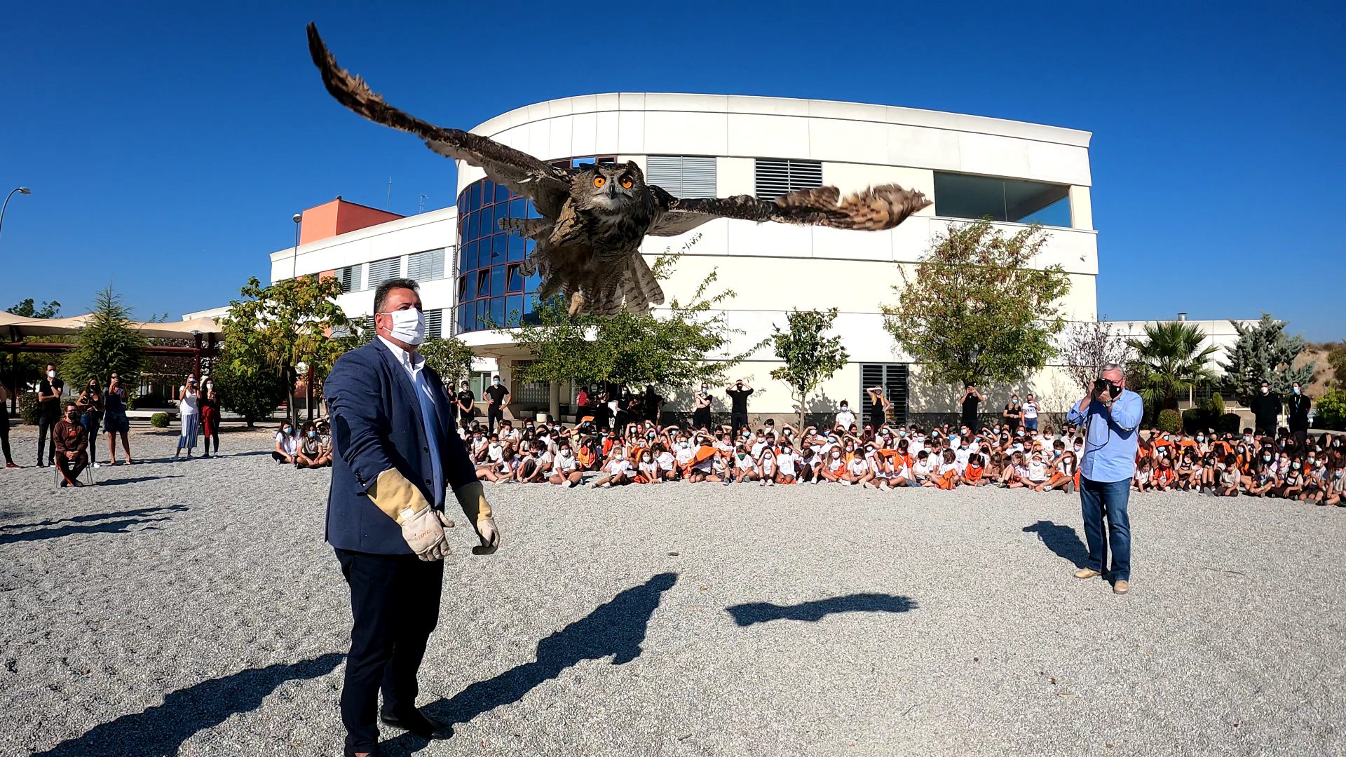 Freeing of Royal Owl at CIG