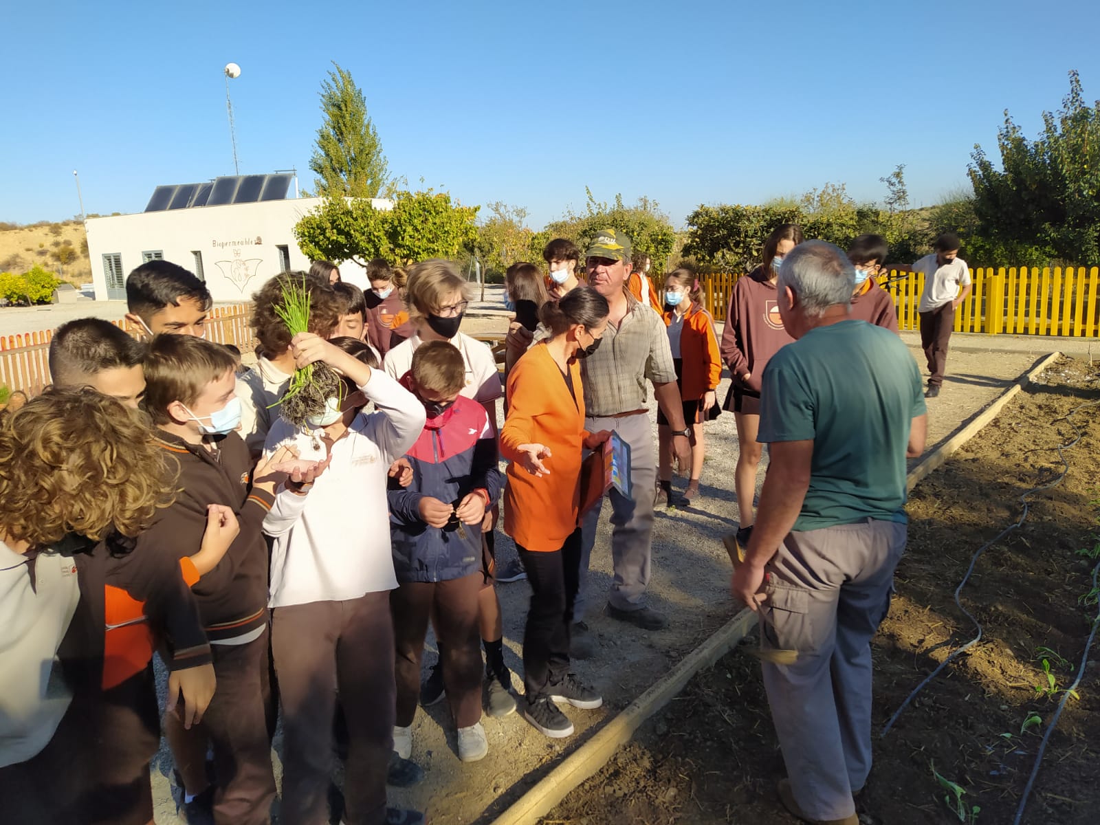 Una mañana 100% ecológica