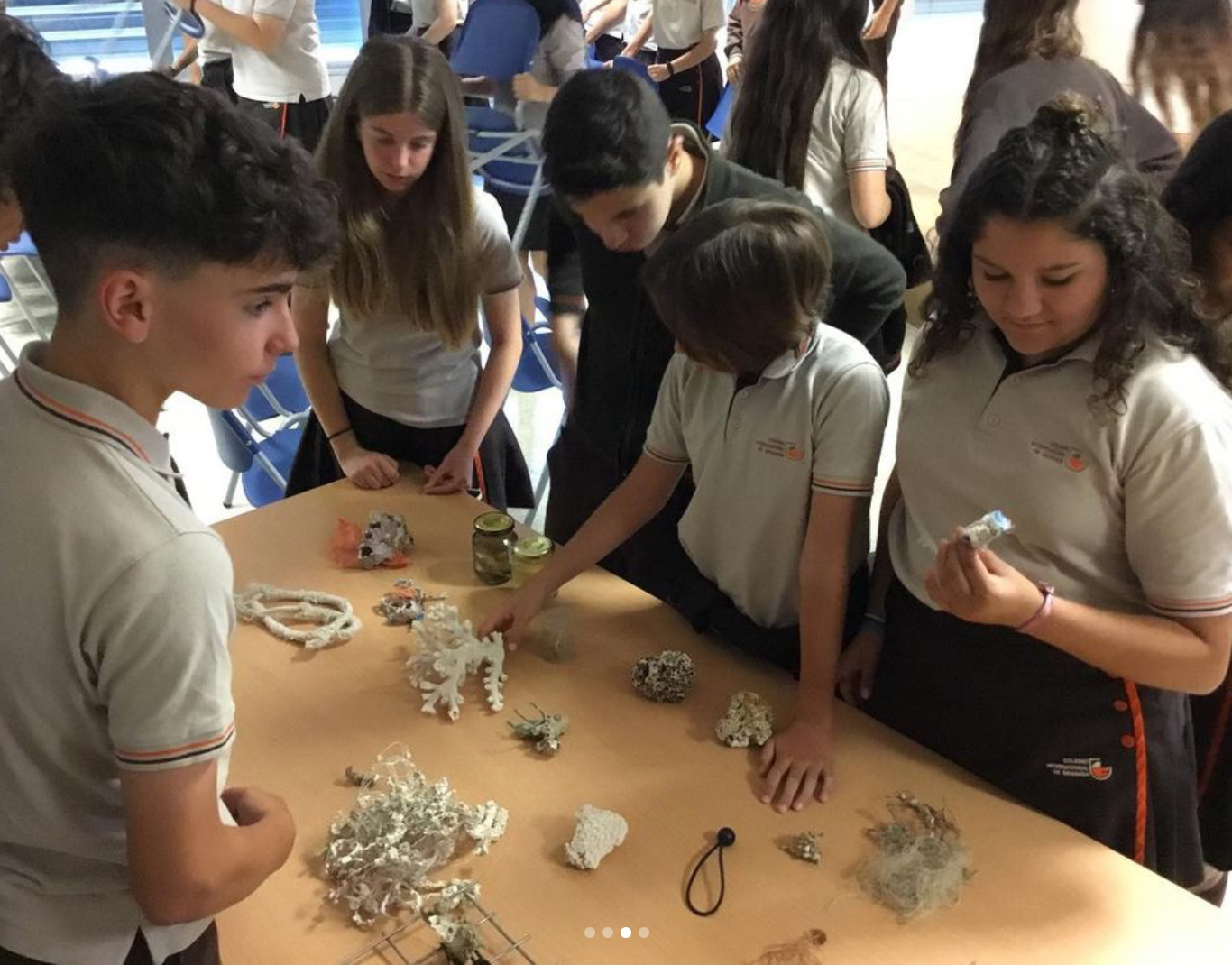 Talk about the regeneration of coral reefs