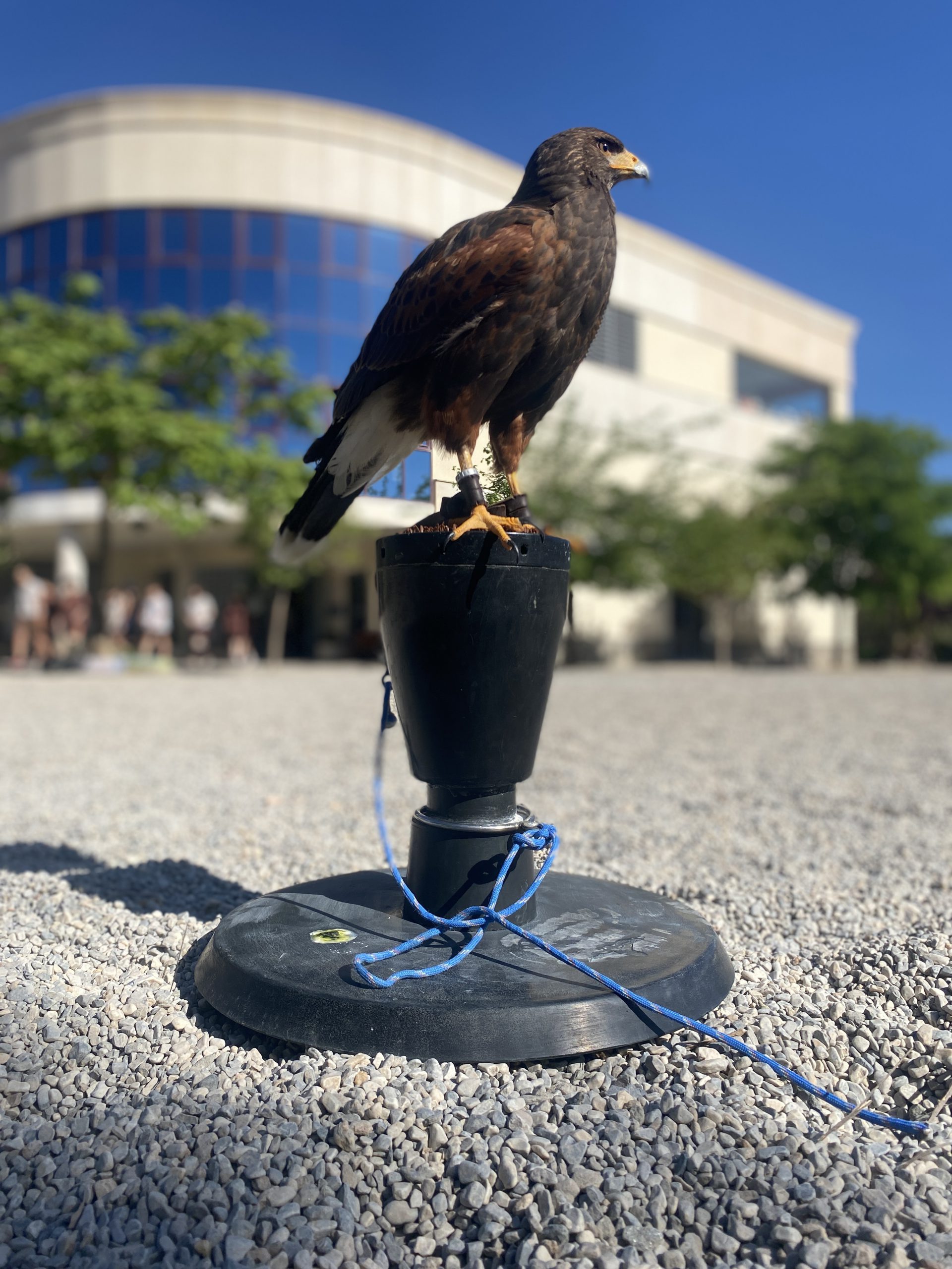 Día Mundial del Medio Ambiente
