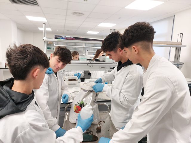 Se ha publicado un artículo scientífico Se ha publicado un artículo scientífico