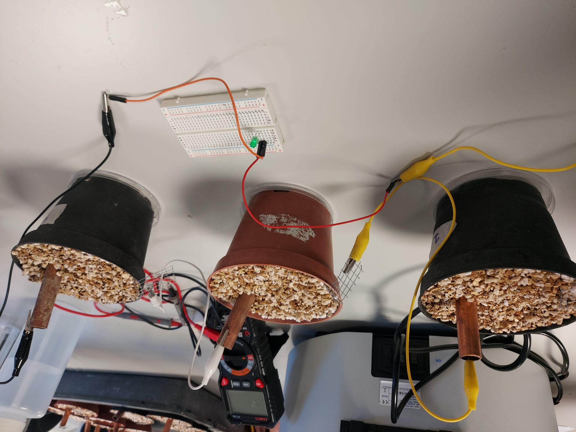 Arranca el proyecto CAOS