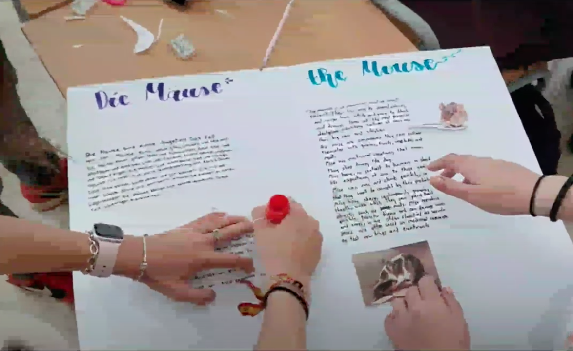 Proyecto Cascos Verdes con alumnos británicos