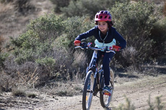 La Educación Física y el Deporte como Claves para el Éxito Académico