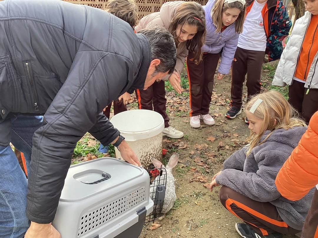 ¡Nuevos habitantes en nuestra granjita! Aprendiendo con conejos y gallinas en el School Garden