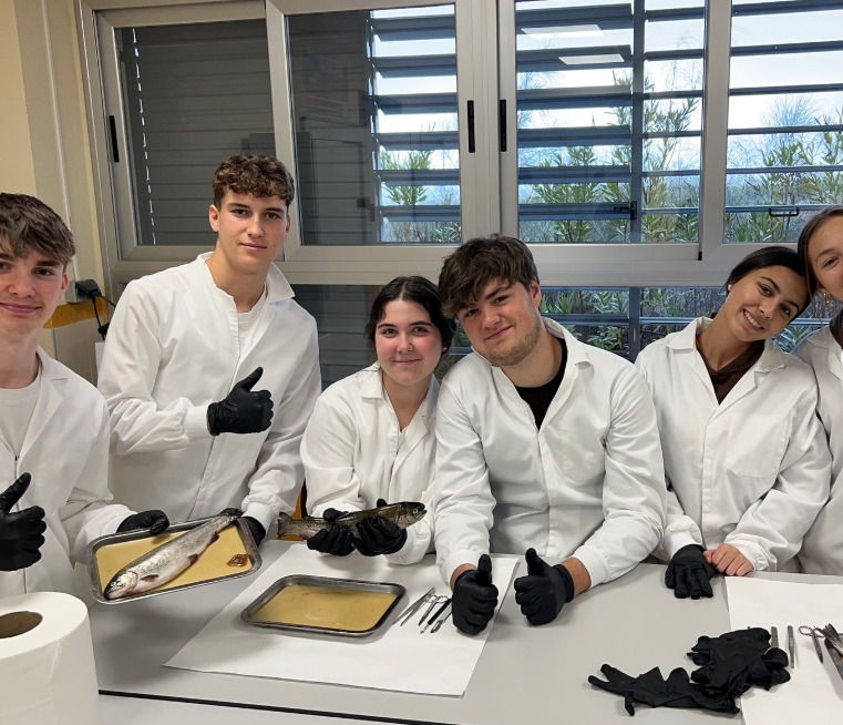 Explorando la anatomía de la trucha: Aprendizaje práctico en Biología