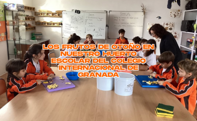 Trabajando los frutos de otoño en nuestro huerto escolar 