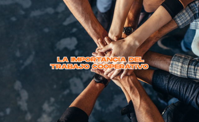 La importancia del trabajo cooperativo en Primaria y Secundaria