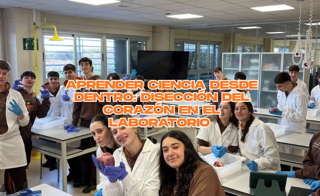 Aprender ciencia desde dentro: disección del corazón en el laboratorio