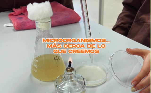 Microorganismos… más cerca de lo que creemos