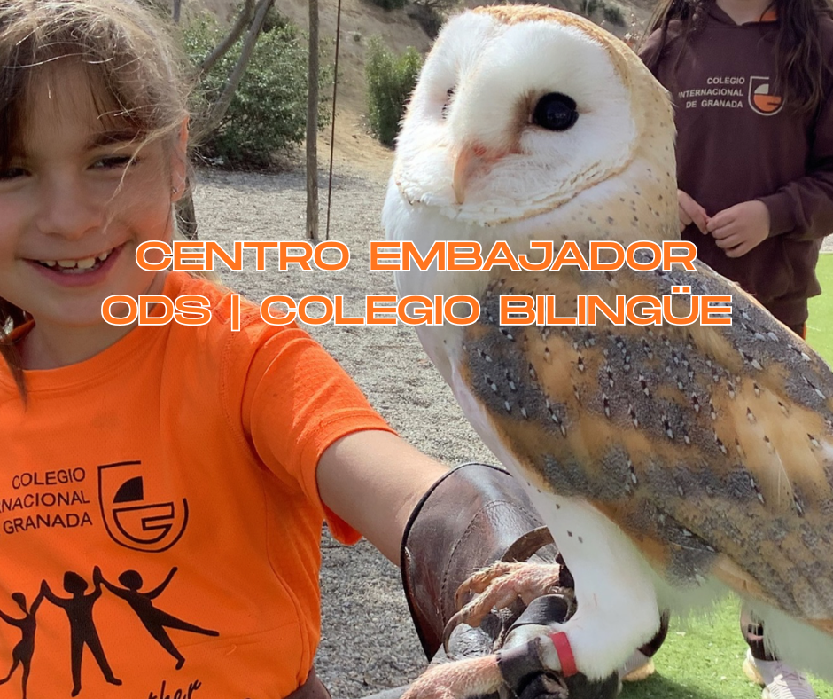 Colegio Internacional de Granada, Centro Embajador ODS