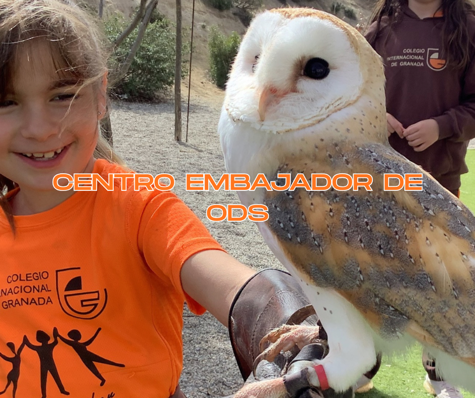 Colegio Internacional de Granada, Centro Embajador ODS