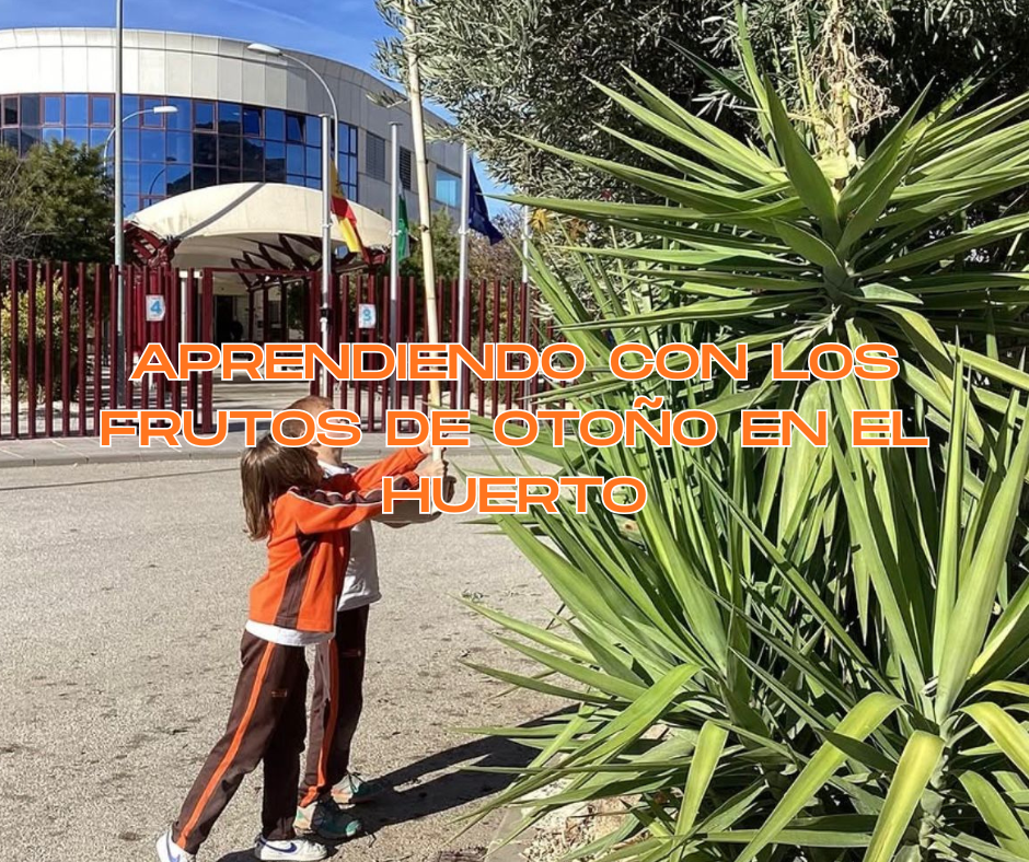 Aprendiendo con los frutos de otoño en el huerto