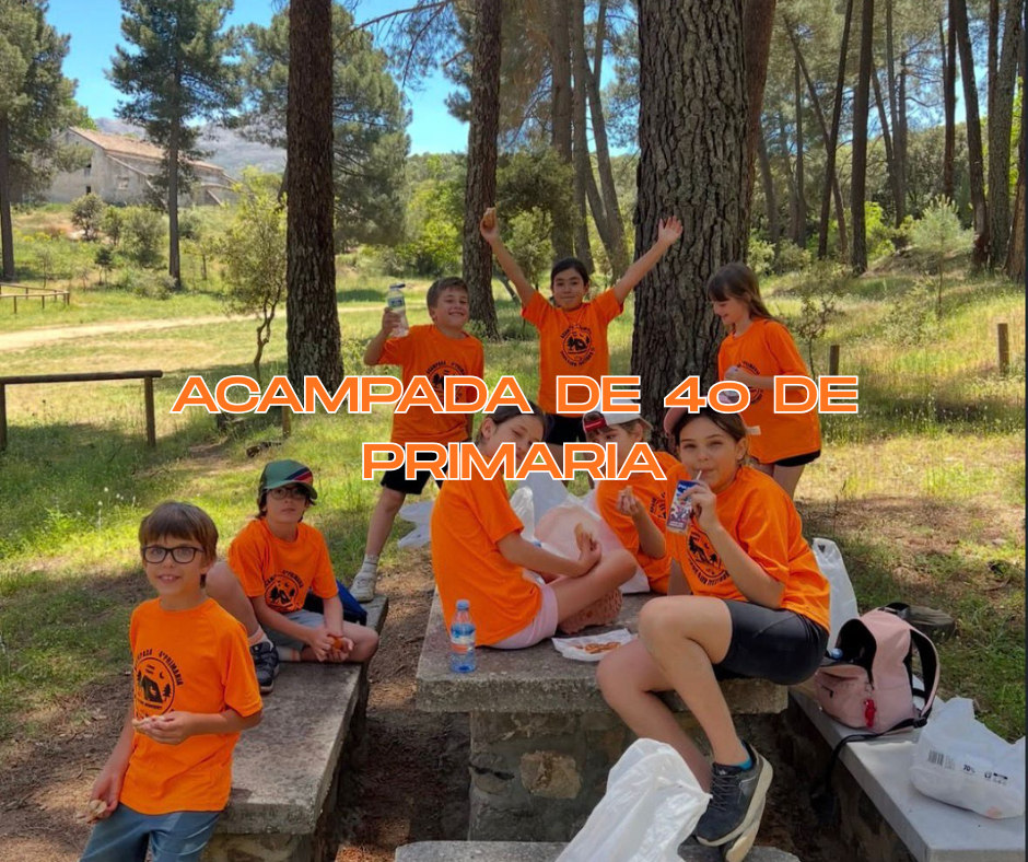Acampada de 4º de Primaria