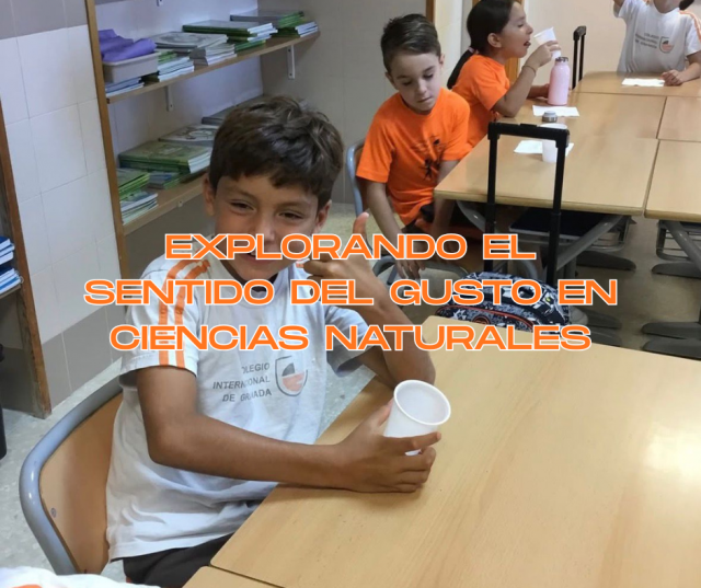 Explorando el sentido del gusto en Ciencias Naturales
