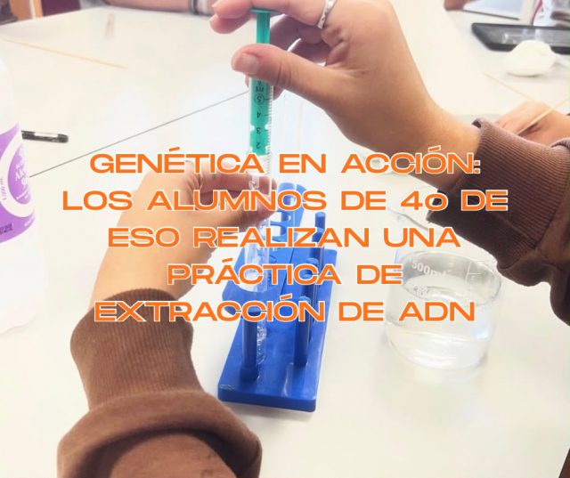 Genética en acción: los alumnos de 4º de ESO realizan una práctica de extracción de ADN